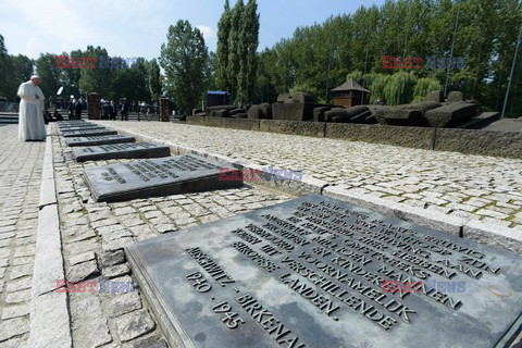 ŚDM 2016 - Auschwitz-Birkenau