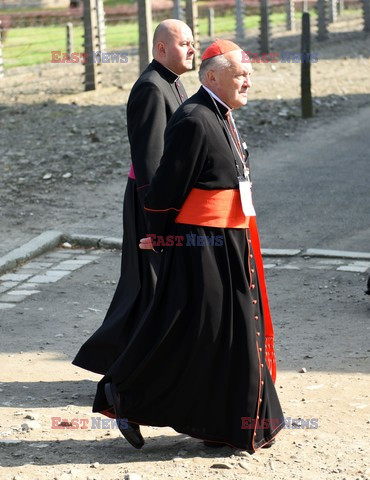 ŚDM 2016 - Auschwitz-Birkenau