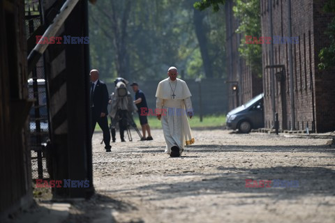 ŚDM 2016 - Auschwitz-Birkenau