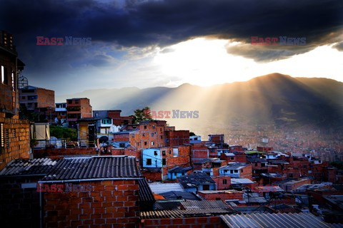 Życie w Medellin - Abaca