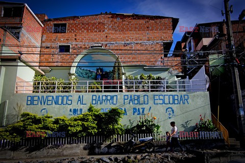 Życie w Medellin - Abaca