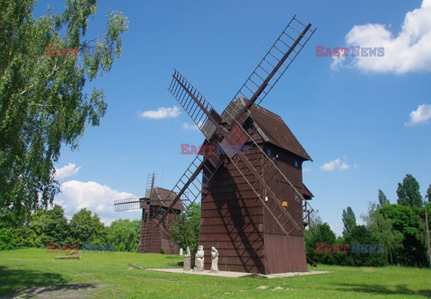 Wielkopolska Marek Bazak