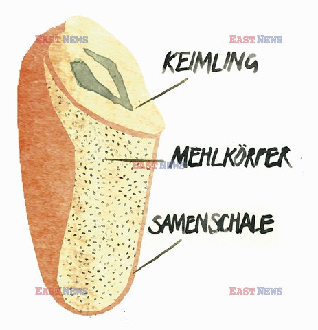 Jahreszeiten Verlag ftp August 2016 Food