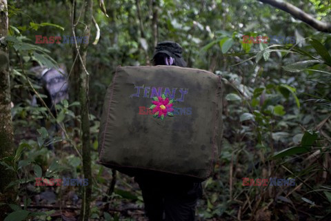 Kolumbia - FARC - Redux