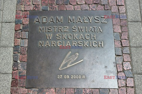 Śląsk MaZa