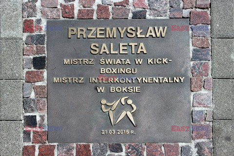 Śląsk MaZa