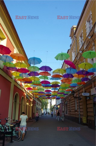 Wielkopolska Marek Bazak