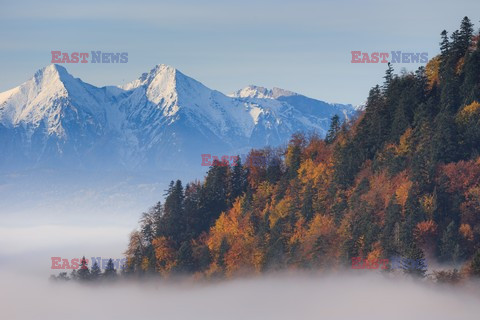 PIENINY AdLa