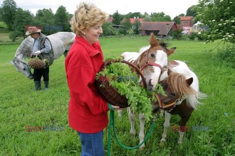 Polska PiMe