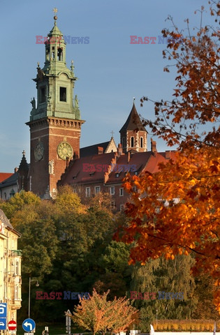 Małopolska Monk