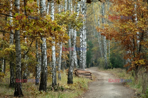 Mazowsze Marek Bazak