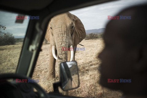 Rezerwat Samburu w Kenii - Eyevine