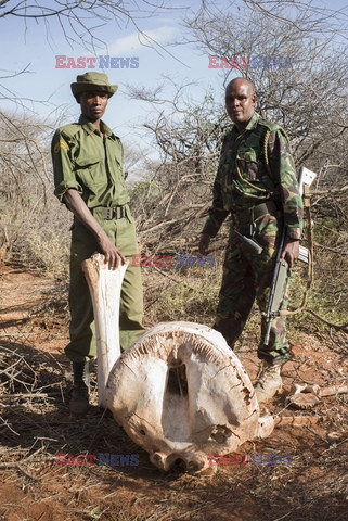 Rezerwat Samburu w Kenii - Eyevine