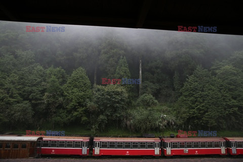 Park narodowy Alishan - Sipa