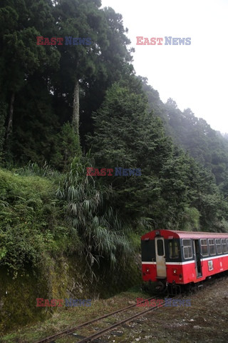 Park narodowy Alishan - Sipa