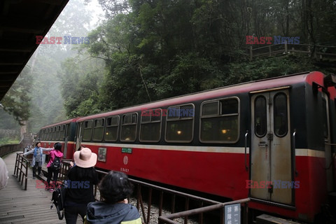 Park narodowy Alishan - Sipa