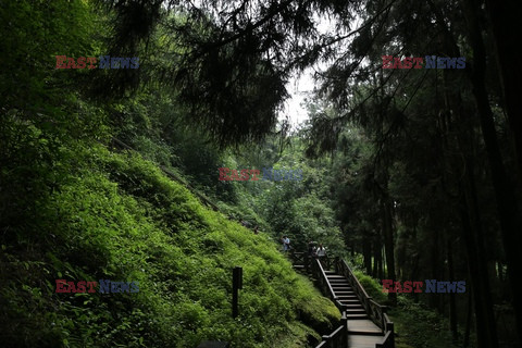 Park narodowy Alishan - Sipa