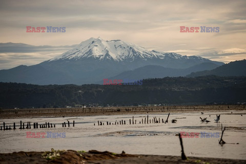 Zbiór alg w Chile - AFP