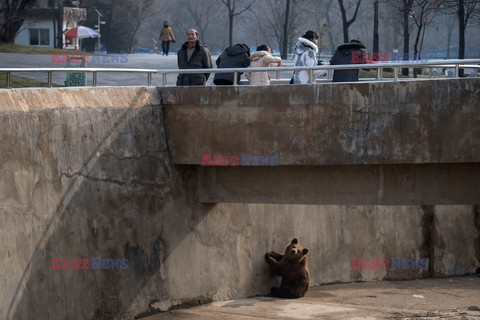 Życie codzienne w Pjongjang - AFP