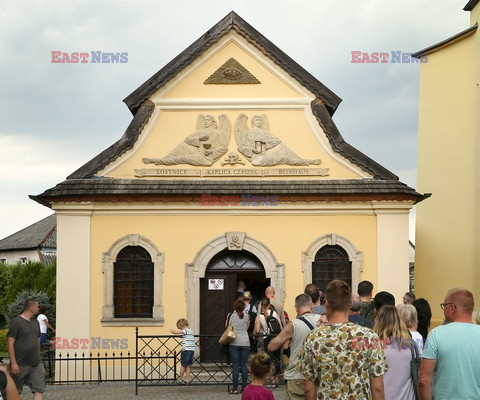 Dolny Śląsk Monk