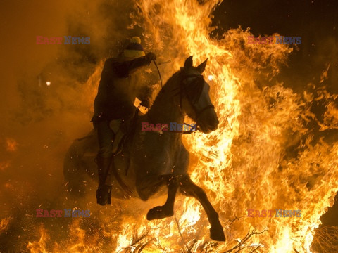 AFP - zdjęcia roku 2016