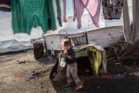 Syria, Raqqa - Le Desk