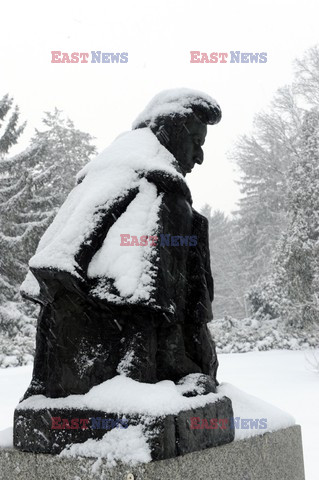 Żelazowa Wola pod śniegiem