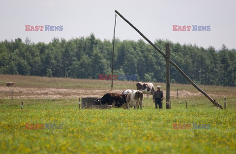 PODLASIE AdLa