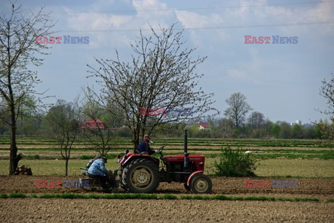 Mazowsze Marek Bazak