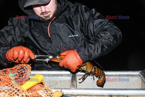 Połowy homarów w Maine - Redux