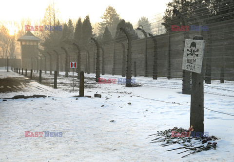 72. rocznica wyzwolenia obozu koncentracyjnego Auschwitz