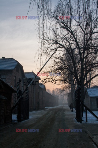 72. rocznica wyzwolenia obozu koncentracyjnego Auschwitz