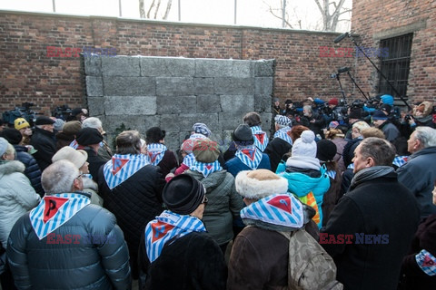 72. rocznica wyzwolenia obozu koncentracyjnego Auschwitz