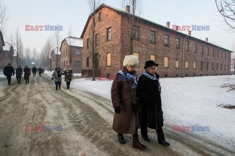 72. rocznica wyzwolenia obozu koncentracyjnego Auschwitz