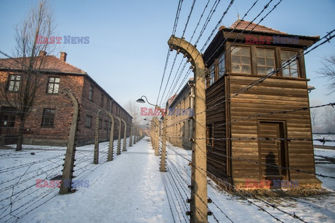 72. rocznica wyzwolenia obozu koncentracyjnego Auschwitz