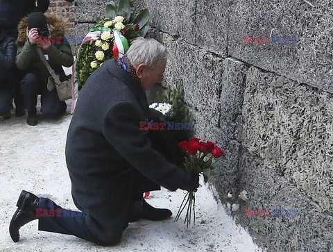 72. rocznica wyzwolenia obozu koncentracyjnego Auschwitz