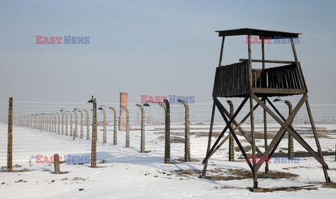 72. rocznica wyzwolenia obozu koncentracyjnego Auschwitz