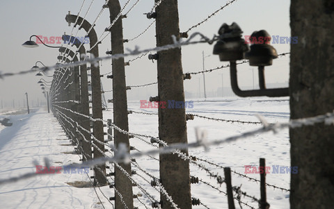 72. rocznica wyzwolenia obozu koncentracyjnego Auschwitz