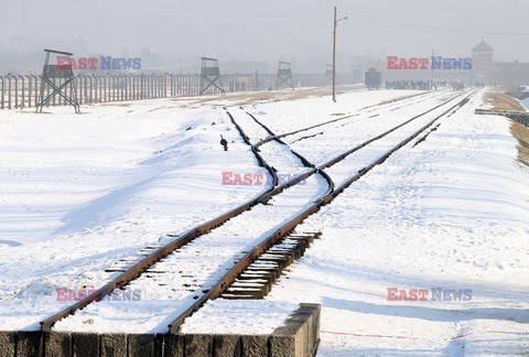 72. rocznica wyzwolenia obozu koncentracyjnego Auschwitz