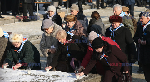 72. rocznica wyzwolenia obozu koncentracyjnego Auschwitz