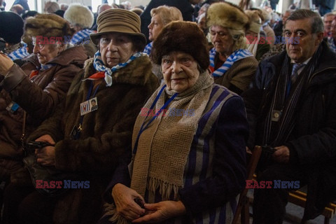 72. rocznica wyzwolenia obozu koncentracyjnego Auschwitz