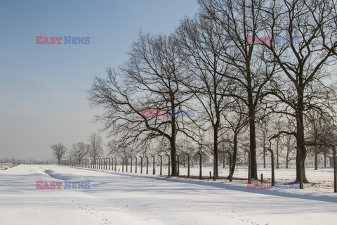 72. rocznica wyzwolenia obozu koncentracyjnego Auschwitz