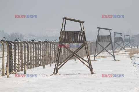 72. rocznica wyzwolenia obozu koncentracyjnego Auschwitz