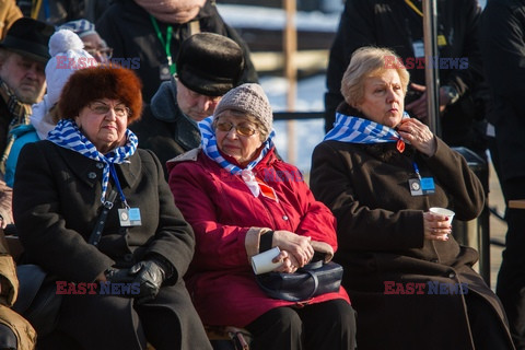 72. rocznica wyzwolenia obozu koncentracyjnego Auschwitz