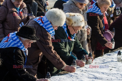 72. rocznica wyzwolenia obozu koncentracyjnego Auschwitz