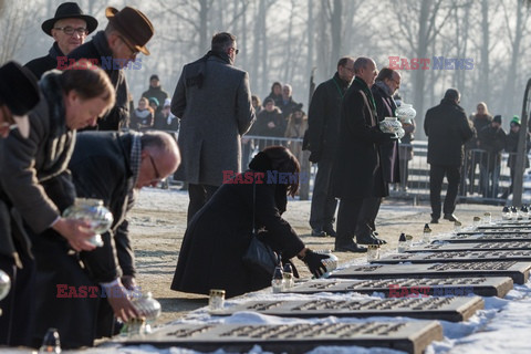 72. rocznica wyzwolenia obozu koncentracyjnego Auschwitz