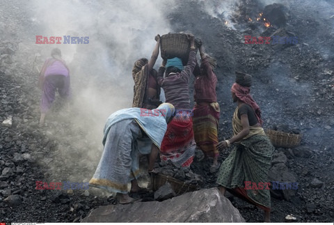 Indyjscy złodzieje węgla - Sipa