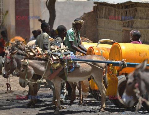 Głód w Somalii - AFP