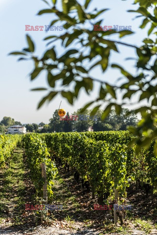 Podróże - Posiadacze zamków i winnic - Le Figaro