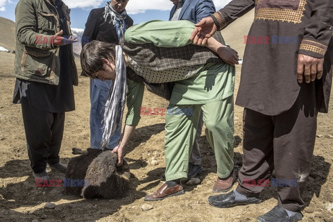 Gra Buzkashi w Afganistanie - Redux